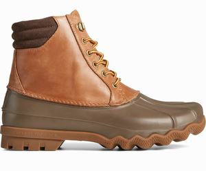 Sperry Avenue Regenlaarzen Heren Bruin / Bruin | 038TPAXWD