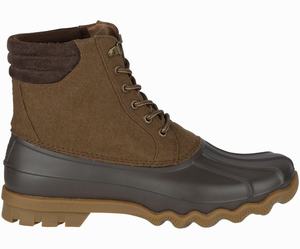 Sperry Avenue Wool Regenlaarzen Heren Bruin | 469GMVWOS