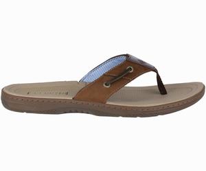 Sperry Baitfish Teenslippers Heren Bruin / Bruin | 276GLHCYK