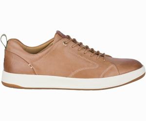 Sperry Gold Cup Richfield Plushwave LTT Sneakers Heren Bruin | 805EGBFIT