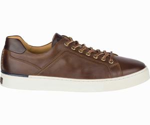 Sperry Gold Cup Victura Sneakers Heren Bruin | 526USWXNQ