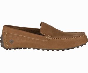 Sperry Hamilton II Driver Loafers Heren Bruin | 173MFCXJP