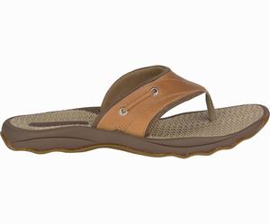 Sperry Outer Banks Teenslippers Heren Bruin | 845FBCTIM