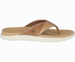 Sperry Regatta Teenslippers Heren Bruin | 039JBACQX