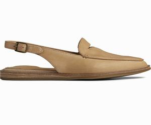 Sperry Saybrook Leren Slingback Mules Dames Bruin | 748AKXCRH