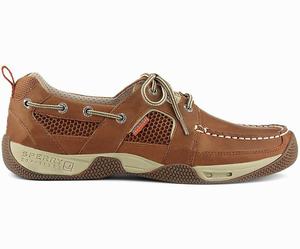 Sperry Sea Kite Sport Moc Bootschoenen Heren Donkerbruin | 875WJLSYM