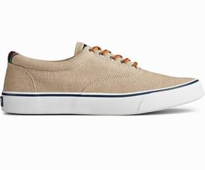 Sperry Striper II CVO Chambray Sneakers Heren Gekleurd | 895GHKXVJ