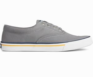 Sperry Striper II CVO Collegiate Sneakers Heren Grijs | 572AEPOZK