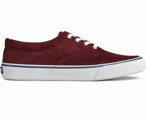 Sperry Striper II CVO Corduroy Sneakers Heren Bordeaux | 076TABPUO