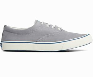 Sperry Striper II CVO Sneakers Heren Grijs | 896JXYZDF