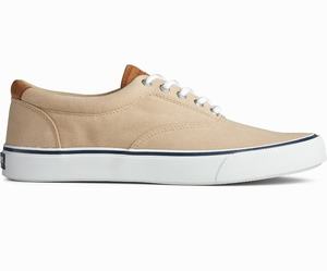 Sperry Striper II CVO Sneakers Heren Khaki | 917CYPANQ