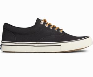 Sperry Striper Storm CVO Sneakers Heren Zwart | 158FZWRBD