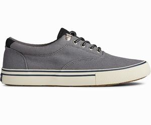 Sperry Striper Storm CVO Sneakers Heren Grijs | 741BAXVEH